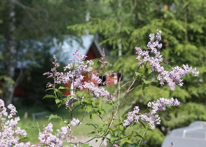 Good Life Holiday park Ahmovaara