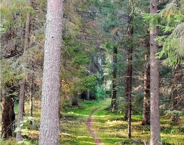 Holiday park Good Life *